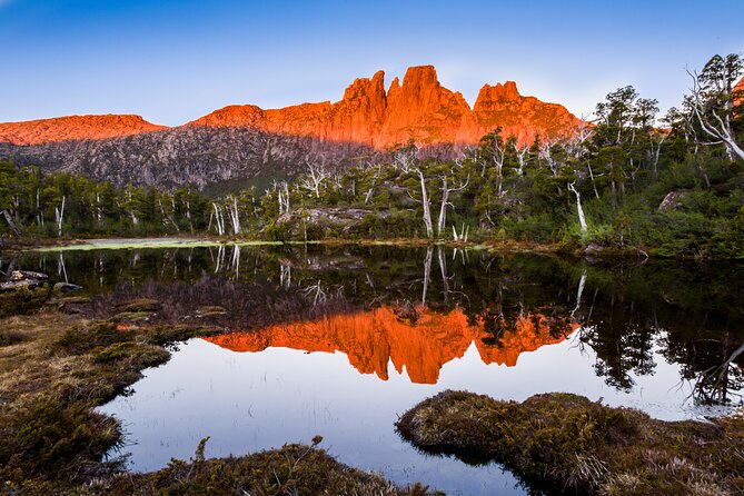After Dark Tasmanian Devil Feeding Tour at Cradle Mountain - Price and value: $30.48 that actually feels fair