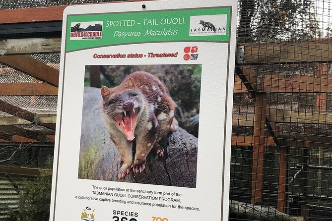 After Dark Tasmanian Devil Feeding Tour at Cradle Mountain - What to wear: the winter-night reality check