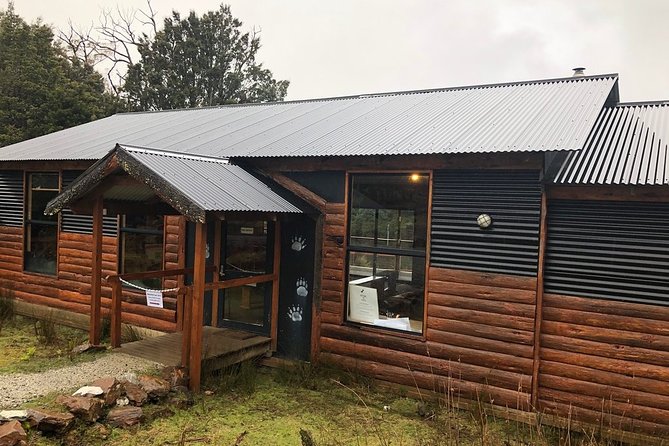 After Dark Tasmanian Devil Feeding Tour at Cradle Mountain - Who should book this feeding tour (and who should think twice)