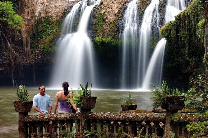 Afternoon & Evening Tour of Paronella Park - Dinner at Mena Creek Hotel: included, simple, and timed for after the night show