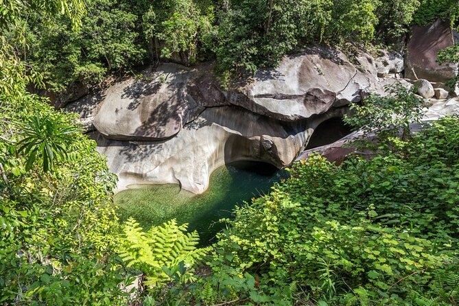 Afternoon & Evening Tour of Paronella Park - Etty Bay and the southern cassowary search