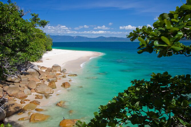 Afternoon Fitzroy Island Escape – Return Ferry Included - Fitzroy Island National Park: Rainforest Walking Without the Full-Day Commitment