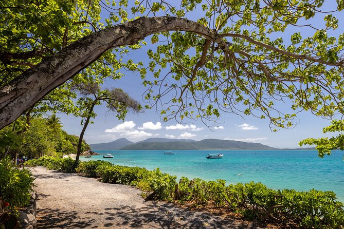 Afternoon Fitzroy Island Escape – Return Ferry Included - Snorkeling Chances: How to Get Good Water Time