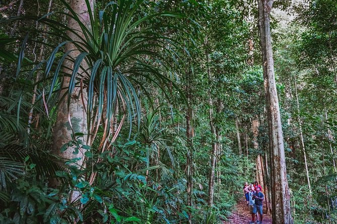 Afternoon Fitzroy Island Escape – Return Ferry Included - Price and Value: Is $63.12 Worth a Return Ferry and Island Time?