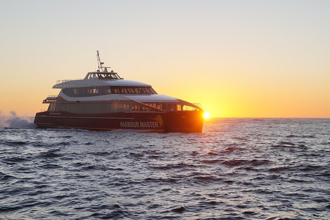 Afternoon Gordon River Dinner Cruise - Key things to know before you go