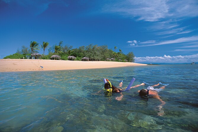 Afternoon Low Isles Snorkelling & Sunset Sail from Port Douglas - Price and Value: Is $243.86 Worth It?