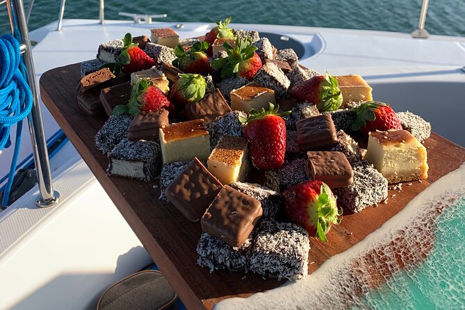Afternoon Moreton Bay Sailing Tour - Wildlife spotting: how to enjoy it without getting obsessed