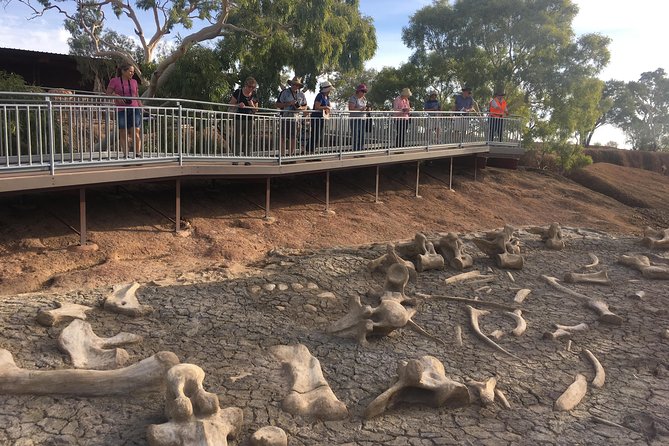 Age of Dinosaurs Museum Half Day Guided Transfer from Winton - Palaeontologists at Work: What Makes This Museum Feel Genuine