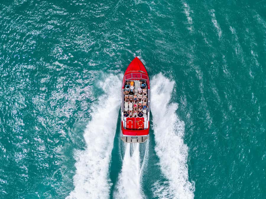 Airlie Beach: 30-Minute Jet Boat Ride - Pioneer Jet Whitsundays check-in: how to find the dock without stress