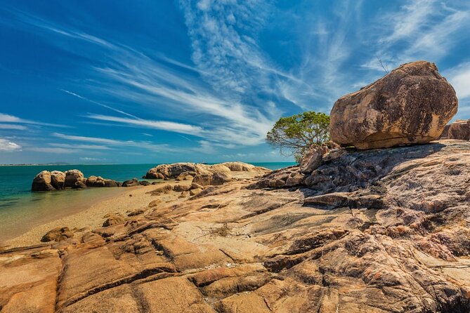 Airlie Beach: Beautiful Bowen Beaches Day Tour. - Stop 3: Birds Fish Bar at the Co-op Wharf