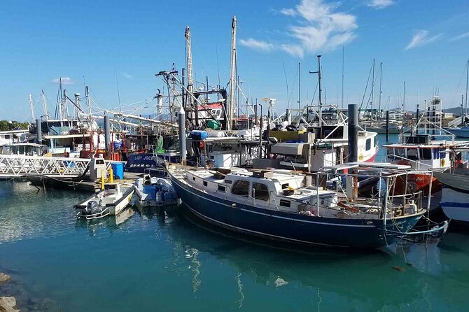 Airlie Beach: Beautiful Bowen Beaches Day Tour. - Stop 4: Horseshoe Bay and the Short Walk to Big Views