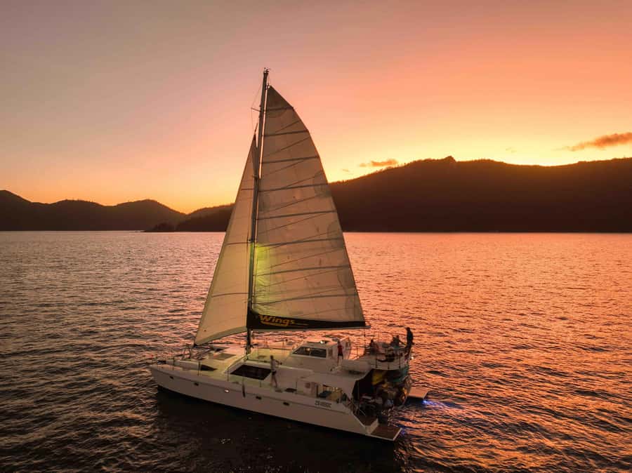 Airlie Beach: BYOB Sunset Sail in Style Catamaran Cruise - Price and what you’re actually paying for
