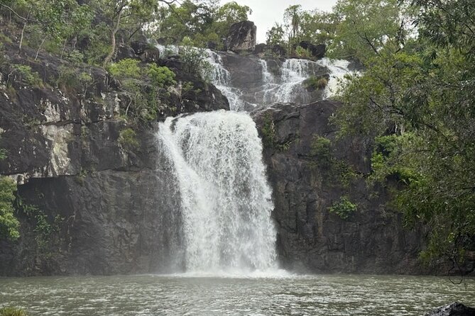 Airlie Beach: Cedar Creek Express (cruise ship friendly) - Airlie Beach heat meets a falls day you can actually manage