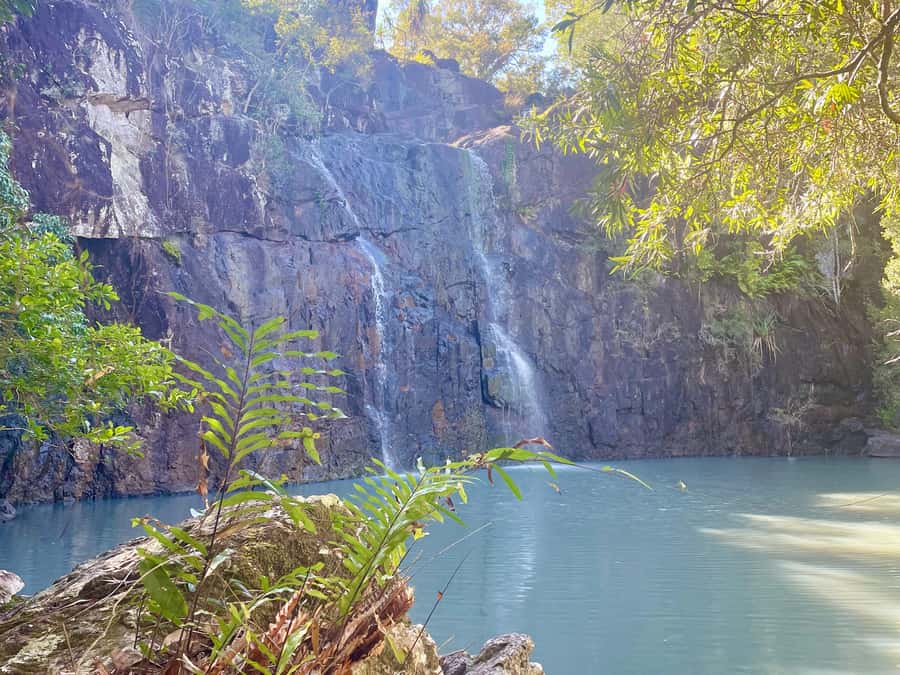 Airlie Beach: Cedar Creek Express Eco Tour - Tea, Local Stories, and the Small-Group Feeling