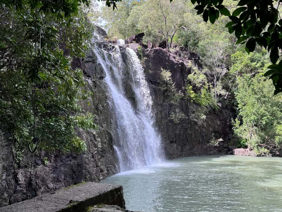 Airlie Beach: Cedar Creek Express Eco Tour - Price and Value: Is $63 Actually Fair?