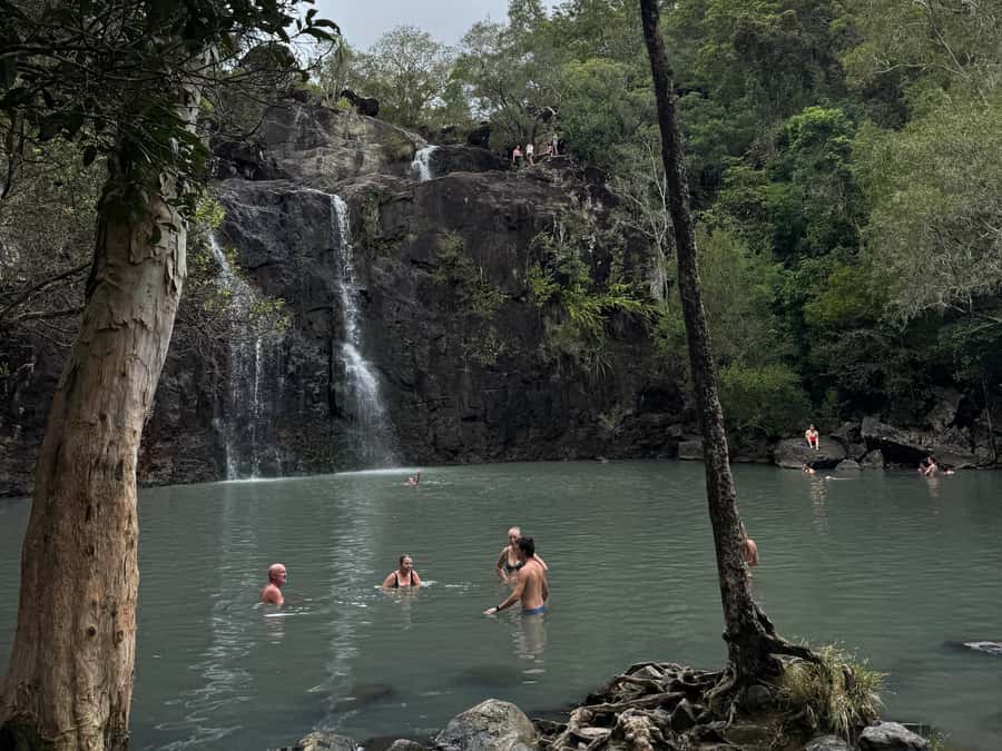 Airlie Beach: Cedar Creek Express Eco Tour - Should You Book the Cedar Creek Express Eco Tour?