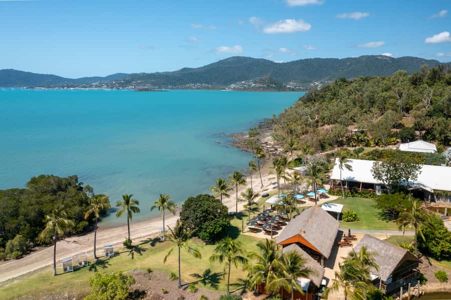 Airlie Beach: Cedar Creek Falls & Northerlies Beach Day Trip - Cedar Creek Falls: white cedar shade, orchids, butterflies, and a natural swim