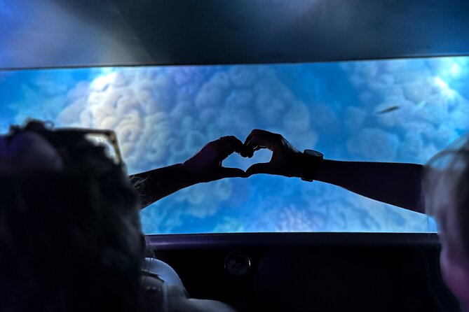 Airlie Beach Glass Bottom Boat Guided Night Tour - Key Highlights You Should Know Before You Go