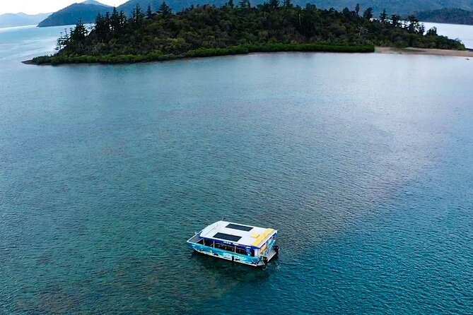 Airlie Beach Glass Bottom Boat Guided Night Tour - A One-Hour Reef Adventure From Shute Harbour