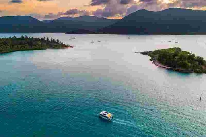 Airlie Beach Glass Bottom Boat Guided Night Tour - Wildlife You Might See: Built for Curiosity, Not Guarantees
