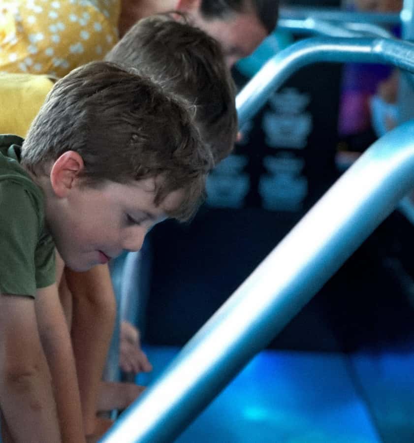 Airlie Beach: Glass-Bottom Boat Night Tour - Underwater blue lights: what you’re likely to see after dark