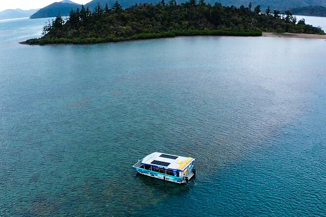 Airlie Beach Glass bottom boat Scenic Sunset Tour - The guided commentary: what “fun and informative” looks like in practice