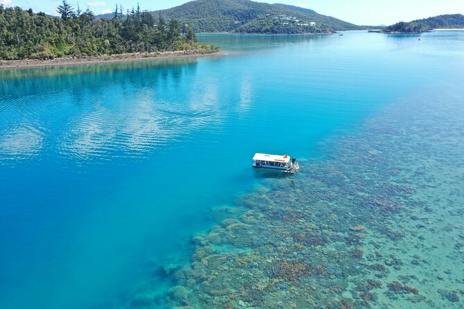 Airlie Beach Glass Bottom Boat Tour - Key things I’d put on your shortlist