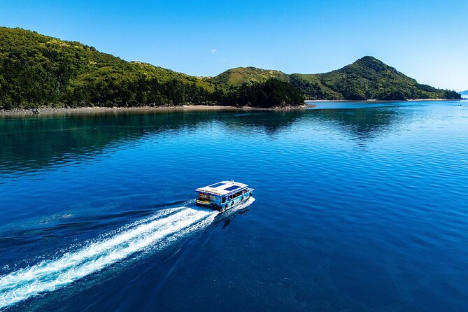 Airlie Beach Glass Bottom Boat Tour - The 70-minute pacing: how the time actually works