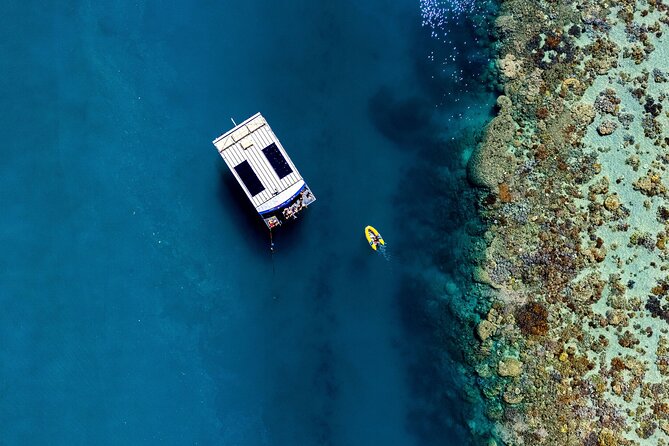 Airlie Beach Glass Bottom Boat Tour - Price check: is $63.83 good value for this kind of reef access?