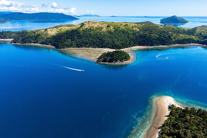 Airlie Beach Glass Bottom Boat Tour - Who should book this Airlie Beach glass-bottom tour?