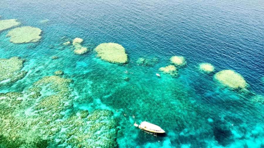 Airlie Beach: Great Barrier Reef & Whitehaven Beach Tour - Key things that make this tour worth your morning