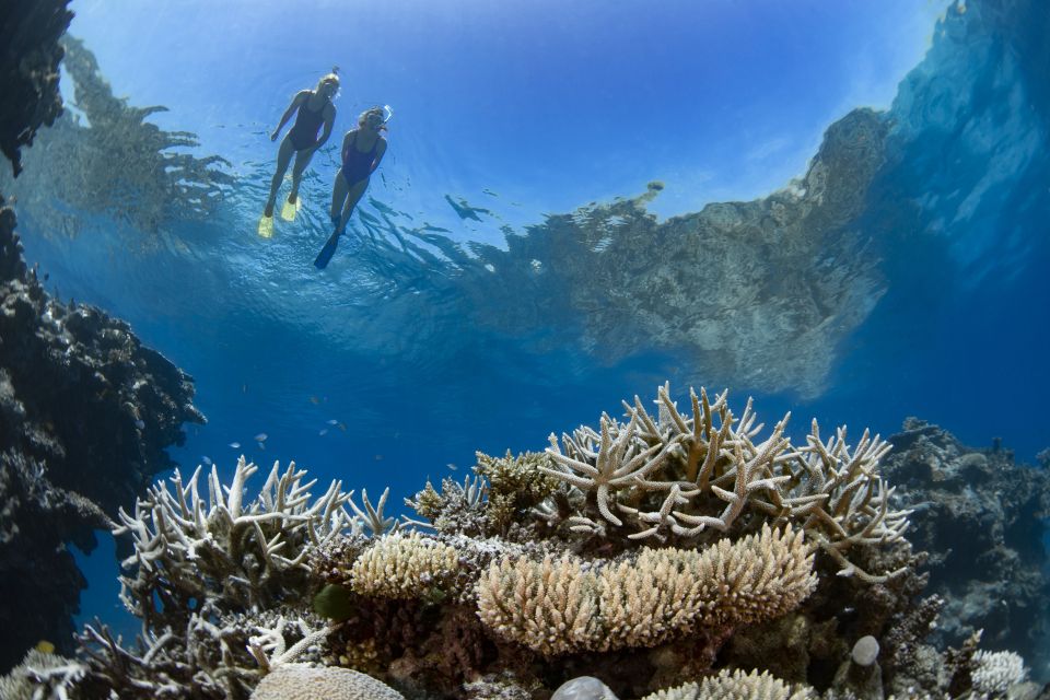 Airlie Beach: Great Barrier Reef & Whitehaven Beach Tour - Who should book this tour, and who should skip it