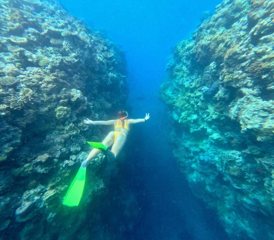 Airlie Beach: Great Barrier Reef & Whitehaven Beach Tour - Lunch and snacks on a long sea day: more than an afterthought