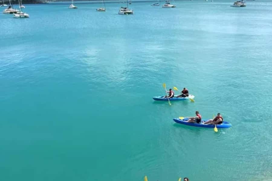 Airlie Beach: Half Day Turtle Tour Sea Kayaking Adventure - Shingley Beach Setup: the Simple Start That Helps You Relax