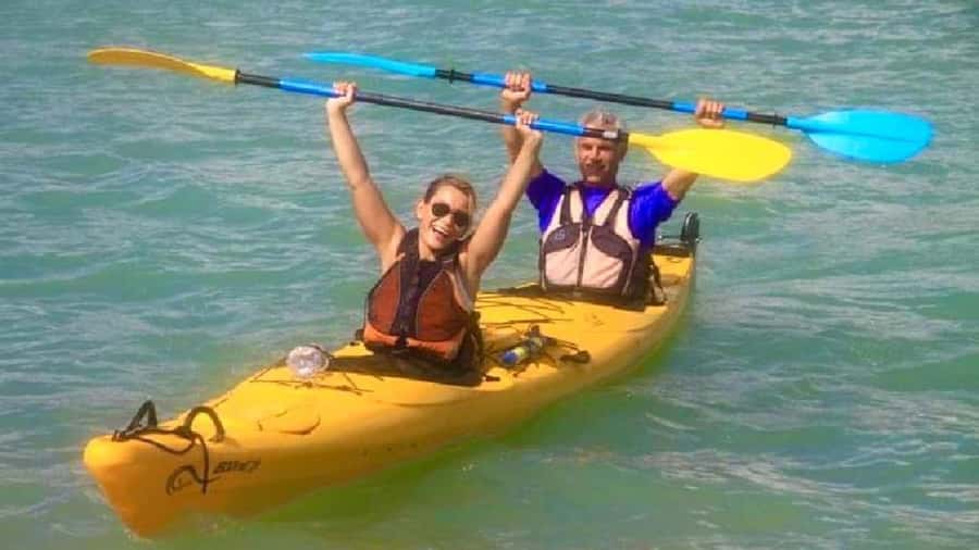 Airlie Beach: Half Day Turtle Tour Sea Kayaking Adventure - Wildlife Spotting That Feels Fair: Turtles and Birds From Your Kayak