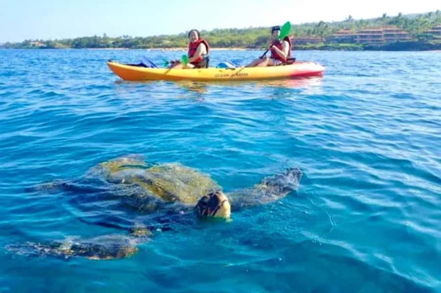 Airlie Beach: Half Day Turtle Tour Sea Kayaking Adventure - Your Paddling Route: 6 km, Three Beaches, and Planned Comfort Stops