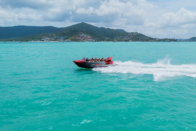 Airlie Beach Jet Boat Thrill Ride - Pioneer Bay Views, Whitsundays Islands, and Wildlife Chances