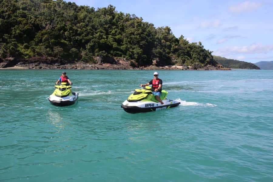 Airlie Beach: Jet Ski Safari Hour of Power and Marine Life - Wildlife spotting on the route: what you can realistically hope to see
