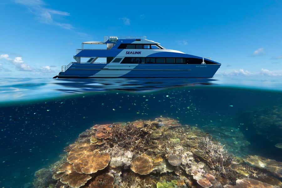 Airlie Beach: Outer Great Barrier Reef Snorkeling Day Trip - Key Highlights That Matter