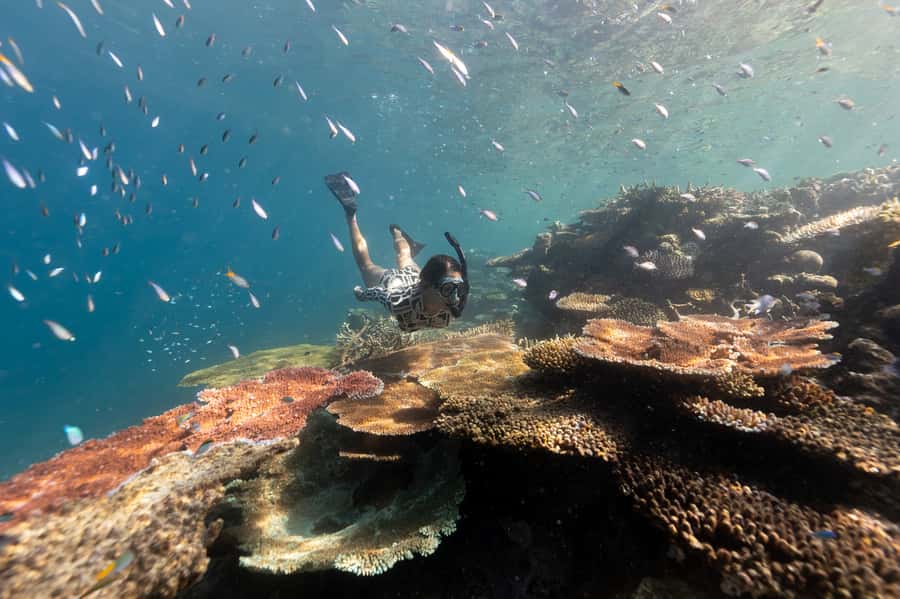 Airlie Beach: Outer Great Barrier Reef Snorkeling Day Trip - Airlie Beach Pickup and the 8-Hour Catamaran Rhythm