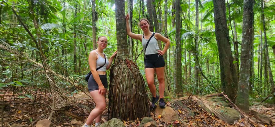 Airlie Beach: Waterfall & Rainforest Bushwalk Eco Adventure - Key Things I’d Prioritize Before Booking