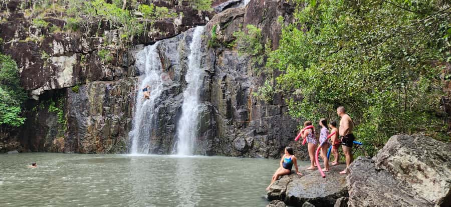 Airlie Beach: Waterfall & Rainforest Bushwalk Eco Adventure - Rainforest Bushwalk in Conway National Park: What You’ll Actually Do