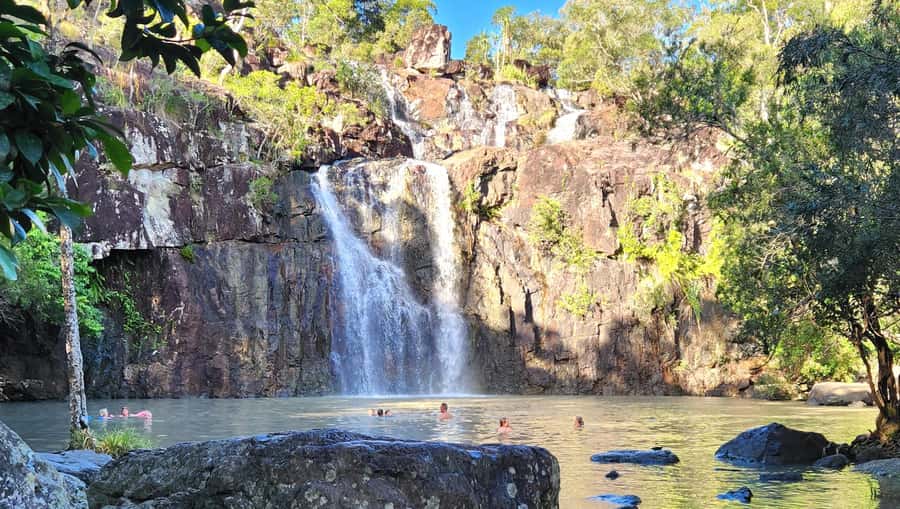 Airlie Beach: Waterfall & Rainforest Bushwalk Eco Adventure - Cedar Creek Falls: Swimming Time and How to Enjoy It
