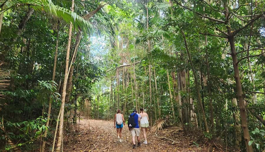 Airlie Beach: Waterfall & Rainforest Bushwalk Eco Adventure - Small Group, Big Difference: Why 10 People Matters
