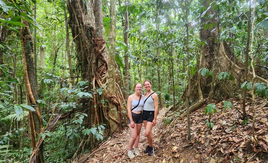 Airlie Beach: Waterfall & Rainforest Bushwalk Eco Adventure - What to Bring (And What You’ll Be Glad You Packed)