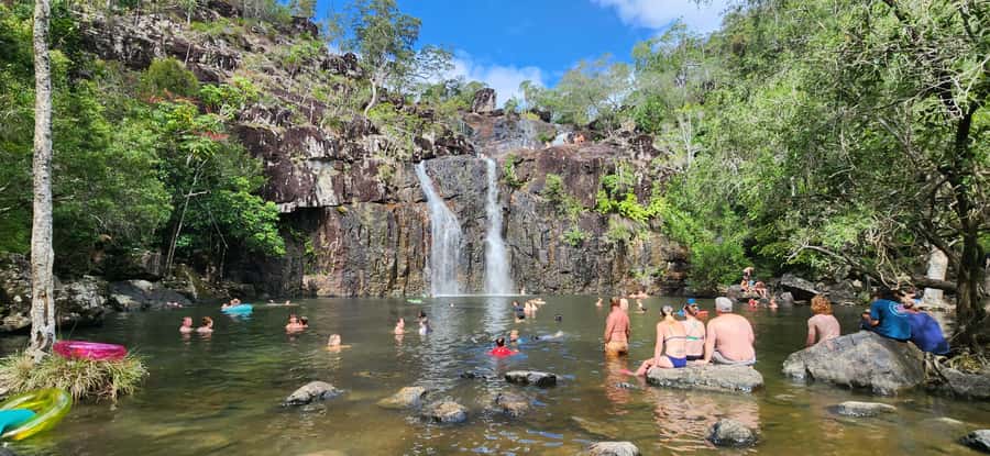 Airlie Beach: Waterfall & Rainforest Bushwalk Eco Adventure - Price and What Your $84 Actually Covers