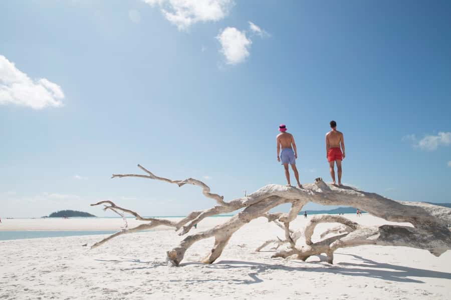 Airlie Beach: Whitehaven Beach Cruise and Hill Inlet - Should you book: my honest take