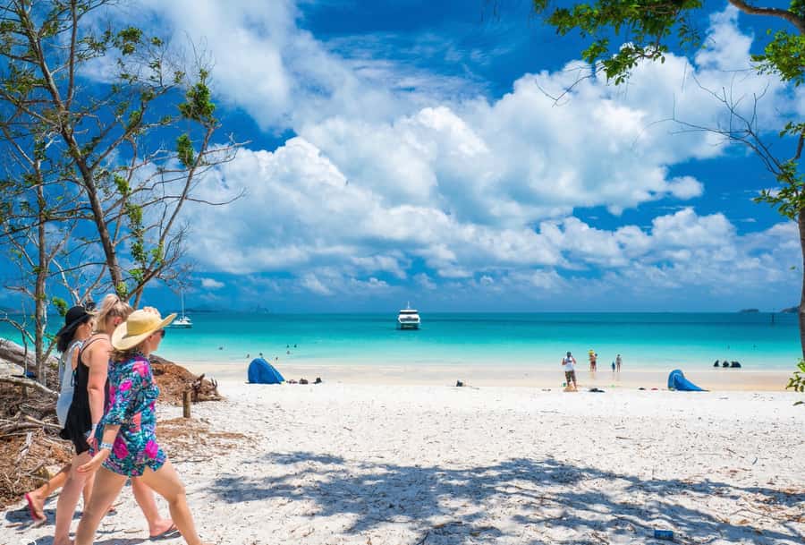 Airlie Beach: Whitehaven Beach Cruise and Hill Inlet - From Port of Airlie to Whitsunday waters: the ride that sets the tone