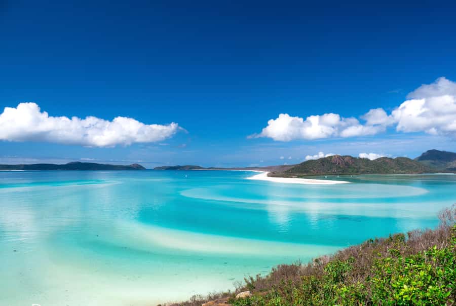 Airlie Beach: Whitehaven Beach Cruise and Hill Inlet - Hill Inlet lookout walk: short, scenic, and worth the effort