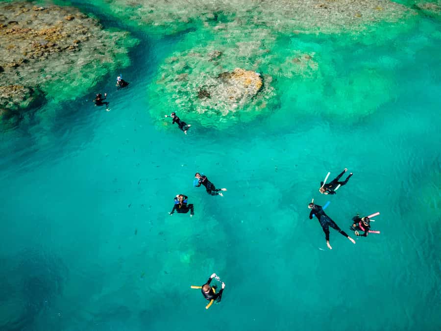 Airlie Beach: Whitsunday Islands 2-Day Sailing Tour - Reef Snorkeling: Why the Crew’s Timing Can Matter More Than the Checklist